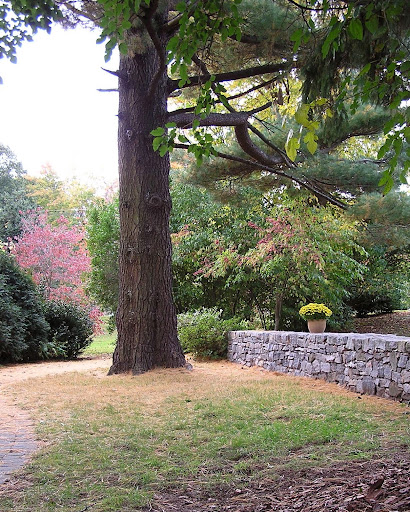 Shoreline Unitarian Universalist Society - Thumbnail