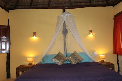 Photos of Casa Selva Orquideas