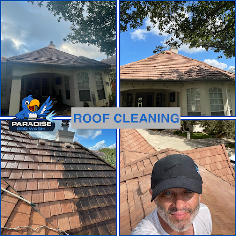 Paradise Pro Wash Window Cleaning & Pressure Washing