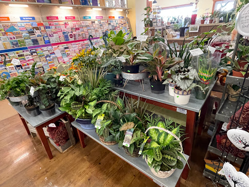 Central Market Floral - Thumbnail