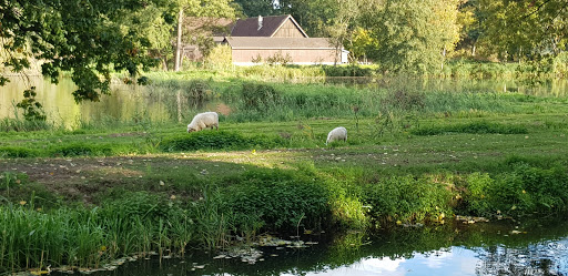 Gut Rietberg - Thumbnail