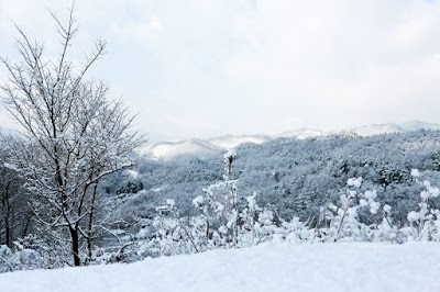 Photos of 중원대학교
