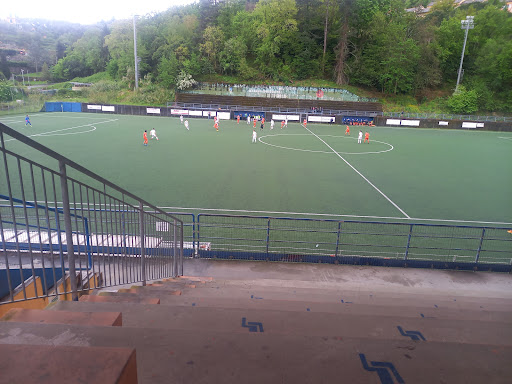 Stadio E. Broccardi - Visual