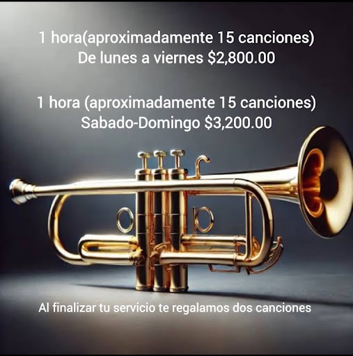 Mariachis en la Ciudad de México, Mariachi La Estrella de Jalisco,