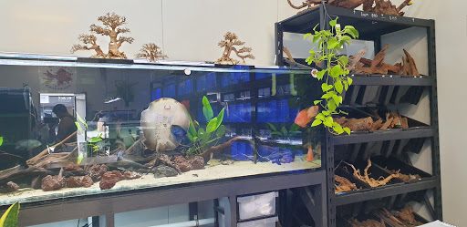 Capital Aquatics - Thumbnail