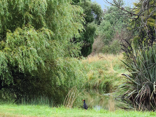 Sanctuary Ponds Reserve - Thumbnail