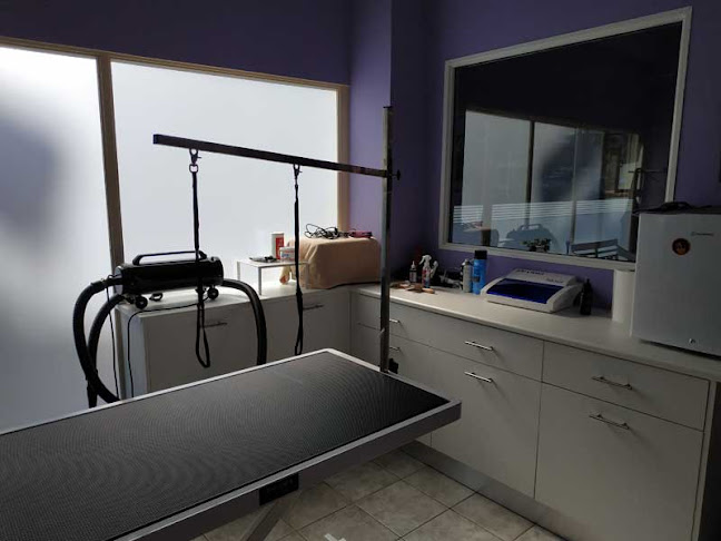 Anna's Grooming - Κουρείο