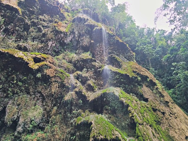 Tumalog Falls