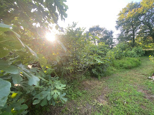 Photo n°9 de La forêt d'émeraude à Pey (Pizzeria)