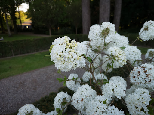 Gråsten Kirkegård - Thumbnail