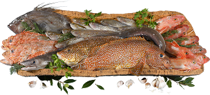 Photo n°49 de Relais des Saveurs restaurant poissons et bouillabaisse à Cavaillon à Cavaillon (Restaurant méditerranéen)