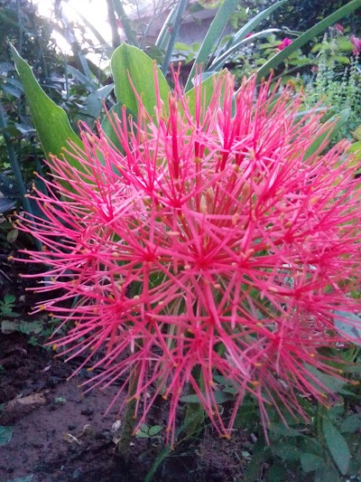 Photos of Sumber Mata Air Leuweung Seureh