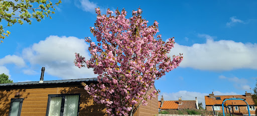 Chestnuts Park Caravan Site - Thumbnail