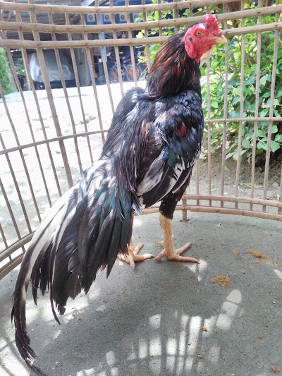Photos of Rumah Produksi Bumbu Ponti Handmade