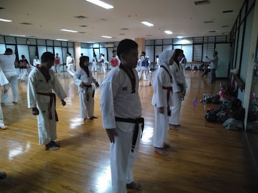 TAEKWONDO SACTI CLUB INDONESIA, Author: Temy Nasution