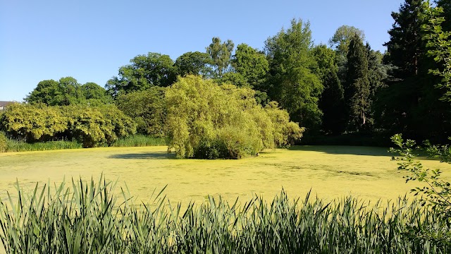 Botanical Garden of the Westphalian Wilhelm University of Münster