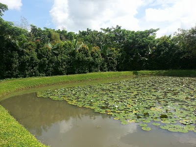 Photos of Dhamma Yawai Meditation Center