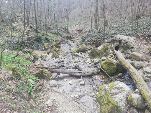 Zipfelbachtal - Thumbnail