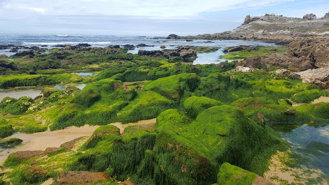 Castro de Baroña