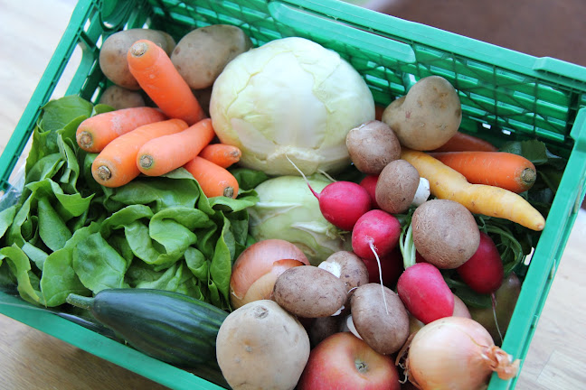 Comentarii opinii despre Obst- und Weinbau Brugger