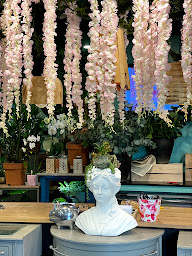 Photo n°27 de Les fleuristes Nice | Fleuriste Nice à Nice (Service de plantes d'intérieur)