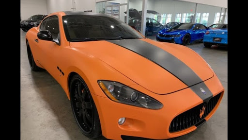 Magee Exotics - Visual
