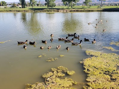 Canyon View Dog Park