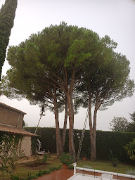 Photo n°3 de Deydier Bernard à Monteux (Paysagiste)
