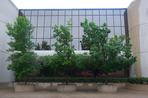 Vogel Law Firm