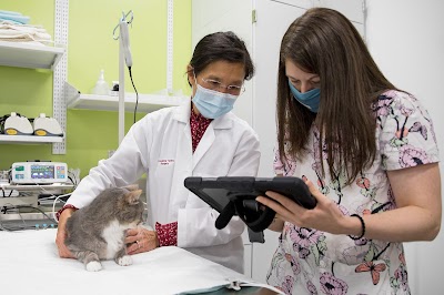 Animal Cancer Care and Research Center