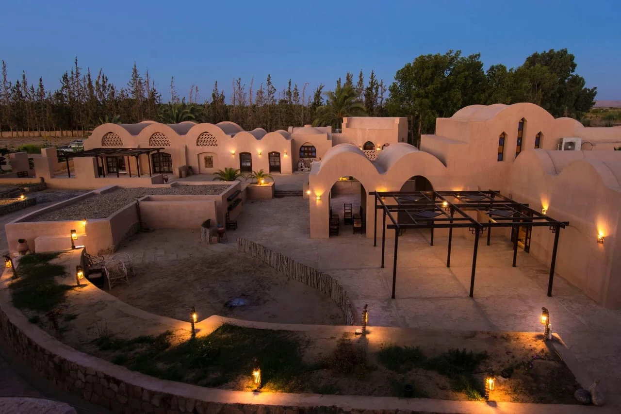 Tzila Bahariya