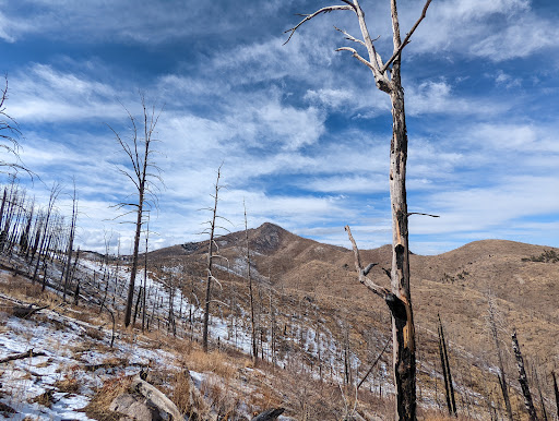 USDA Forest Service - Supervisor's Office - Thumbnail