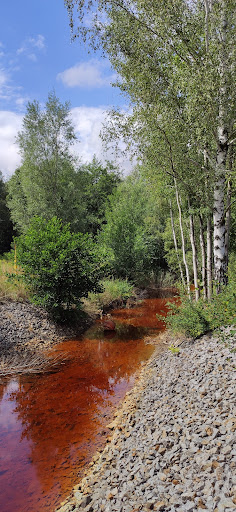 Naturlandschaft Grünewalder Lauch - Thumbnail