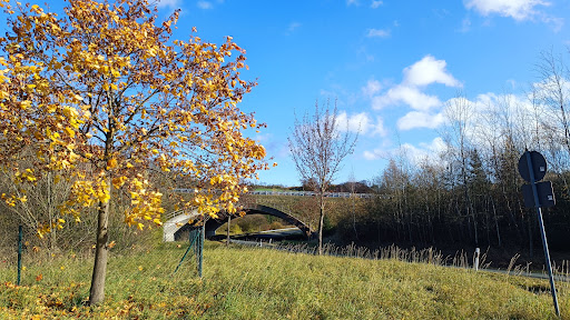 Friedhof Seubtendorf - Visual