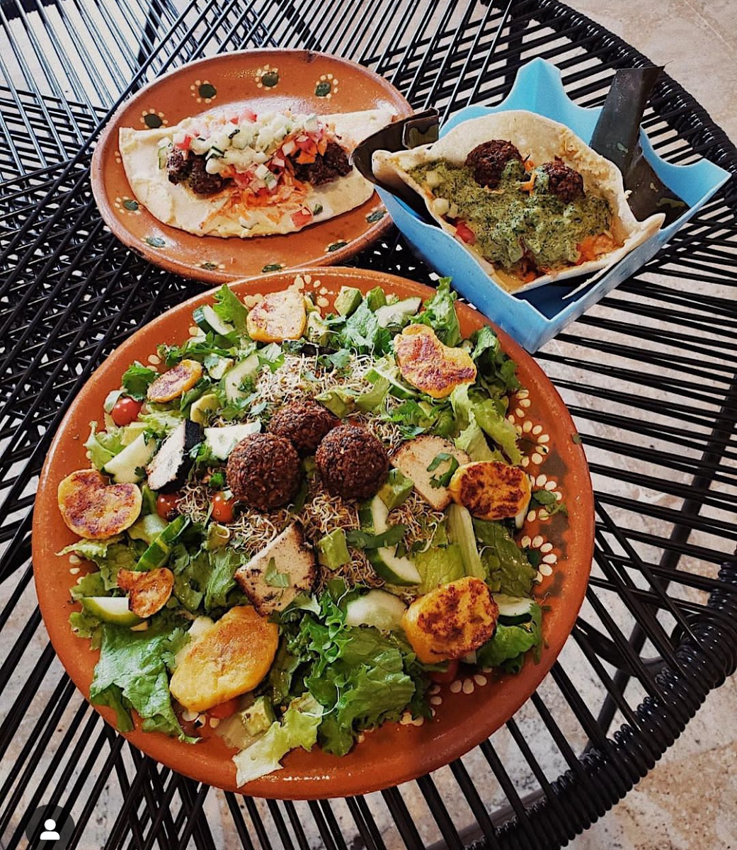 Apus.Falafel — photo 5