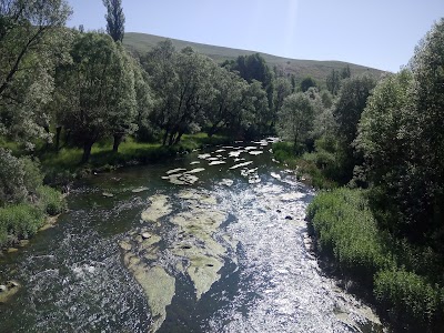 Photos of Şht. Melayip Erdoğan Parkı