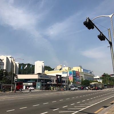 Photos of KBS스포츠월드