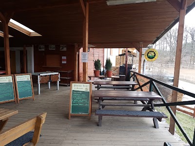 Photos of Hotel and restaurant Panska Licha Brno