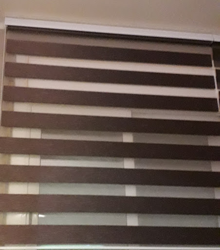 BF Cortines - Visual