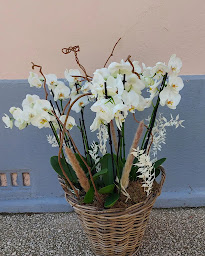 Photo n°59 de L’ATELIER DE DAISY à Bouillargues (Fleuriste)