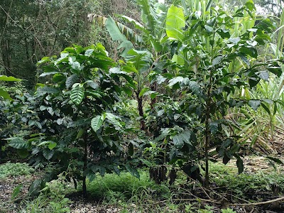 Photos of El Trapiche Tour