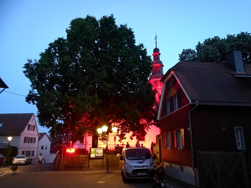 Evangelische Kirche Dortelweil - Evangelische Kirchengemeinde Dortelweil - Thumbnail