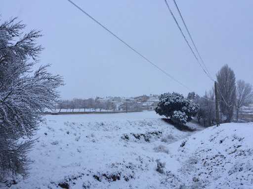 Balsón de las Ranas - Thumbnail