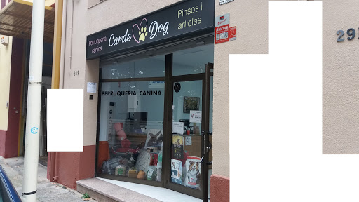CARDEDOG - Visual