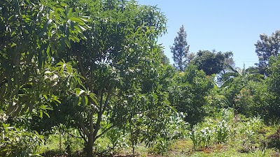 Photos of Kajuko Orchard Farm