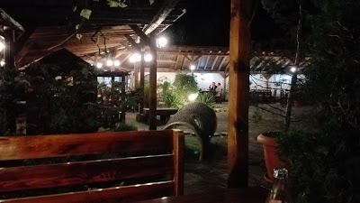 Photos of restaurant Bonjour