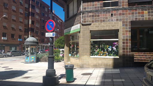 Campos Floristas