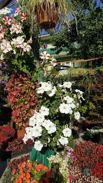 Photos of Information Botanical Landscape