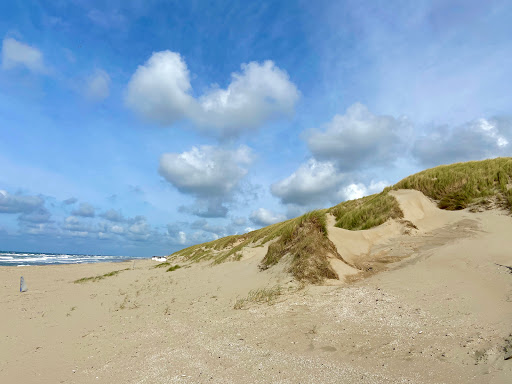 Stichting Dorpshuis "De Wielewaal"