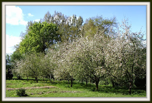 Photo n°4 de Les Coteaux du Linon à Pleugueneuc (Ferme bio)